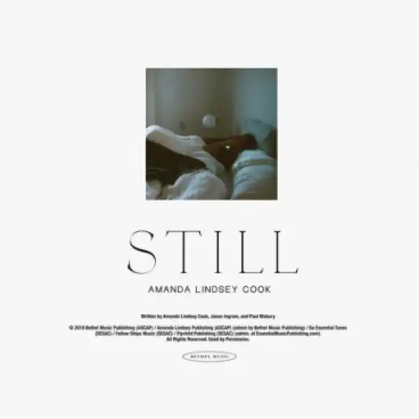 Amanda Lindsey Cook – Still - Amanda Lindsey Cook – Still